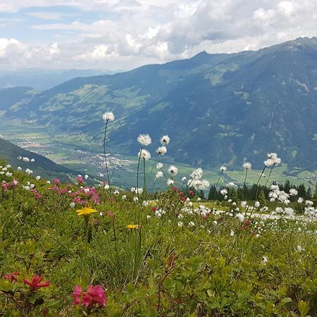Alpen Quartier Διαμέρισμα Uderns Εξωτερικό φωτογραφία