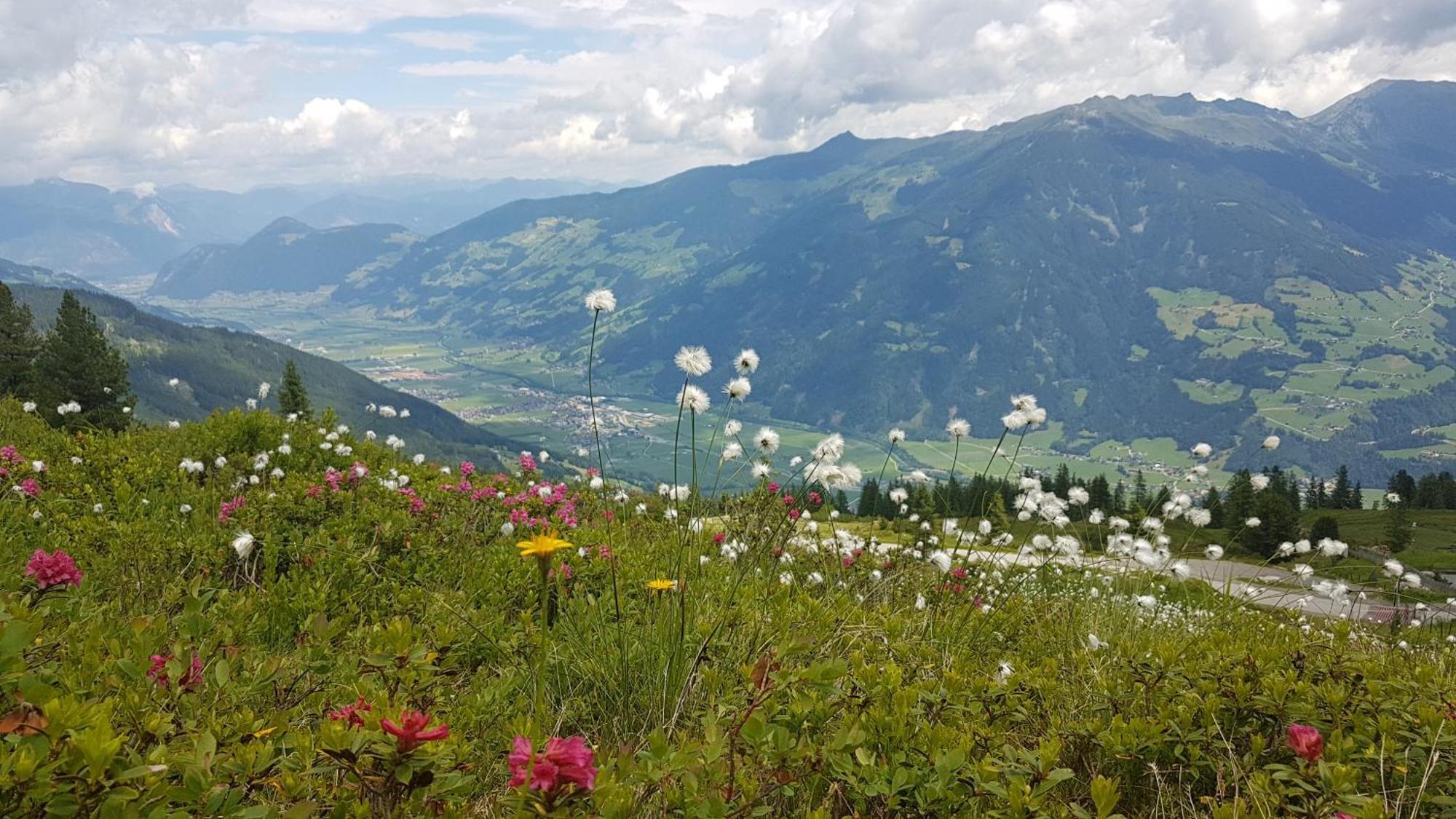 Alpen Quartier Διαμέρισμα Uderns Εξωτερικό φωτογραφία